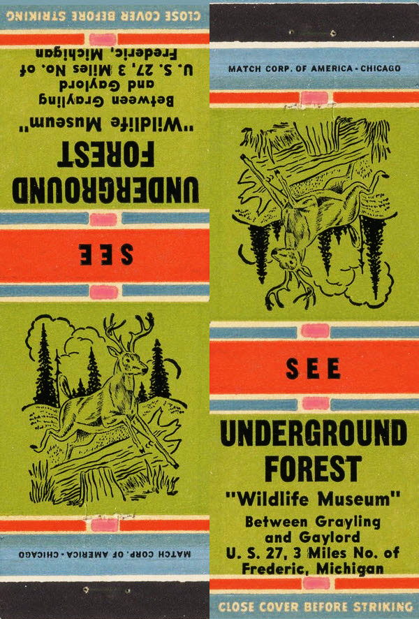 Underground Forest - Matchbook
